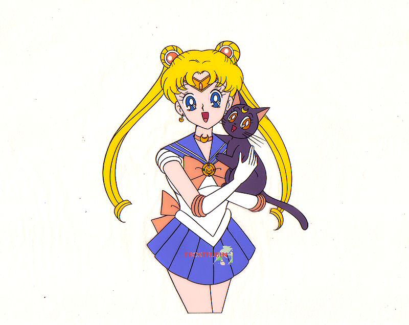 Sailor Moon with Luna hanken cel