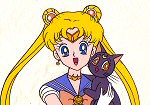 Sailor Moon hanken cel