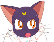 Sailor Moon