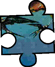 Zu welchem Titelbild geh�re ich?