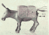 Zigarettenesel