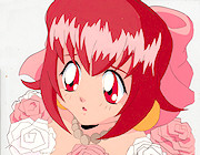 Cyber Team Akihabara Cel