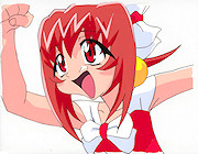 Cyber Team Akihabara Cel