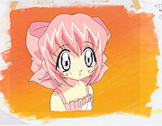 Cyber Team Akihabara Cel