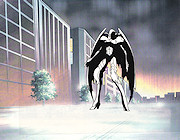 Cyber Team Akihabara Cel