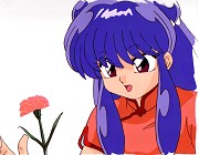 Ranma 1/2 Cel